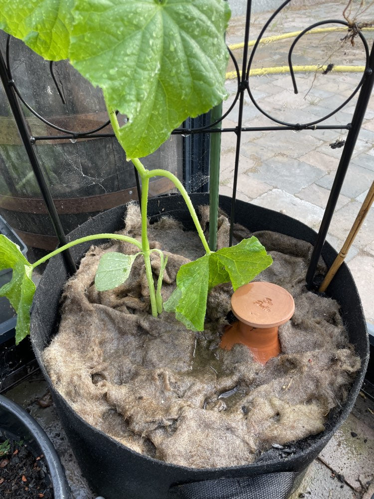 Tihkuruukku BioProffa 2 L, käsintehty