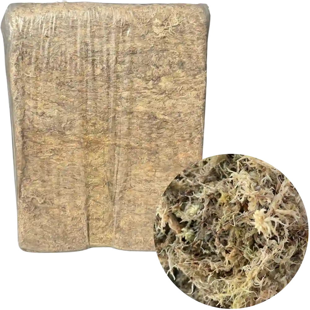 Rahkasammal,  Sphagnum moss, 4-5 litraa, puristelevy 100g - harkko 5 kg, BioProffa