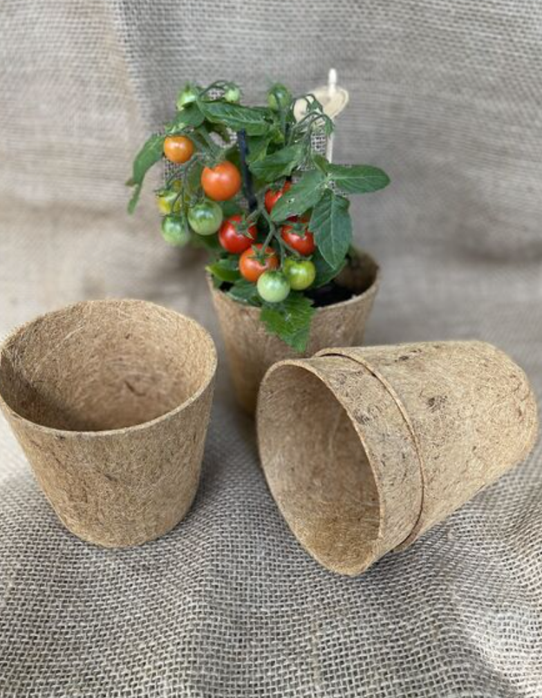 Coconut fiber pot Maxi, 6 pcs, 12cm x 11cm, BioProffa