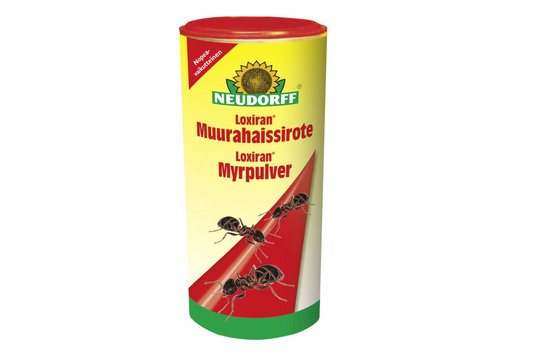 Neudorff Loxiran -S- Ant exterminator for outdoor use