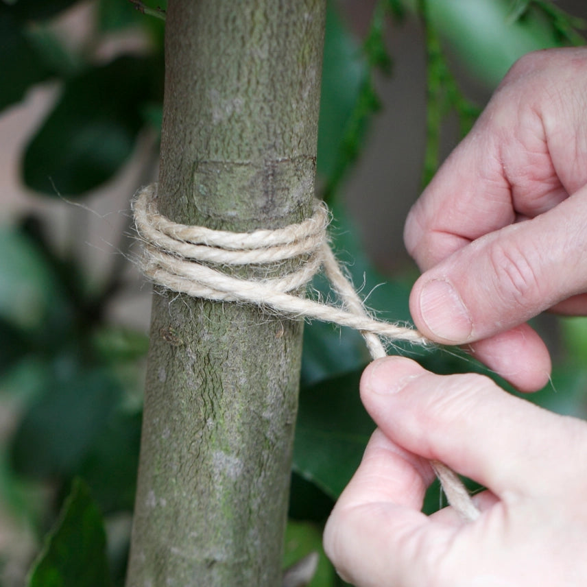 Thick jute string, 10m