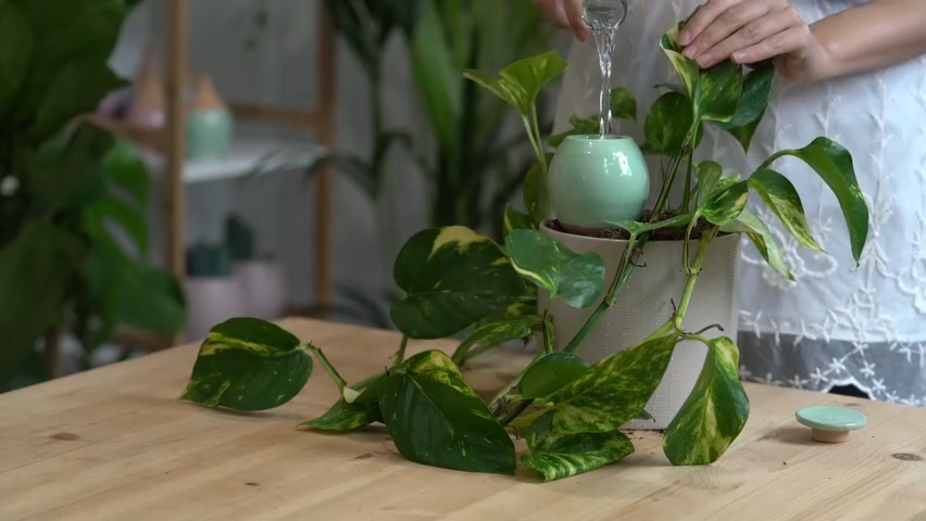 Droppgryta 3,5 dl, rosa, BioProffa